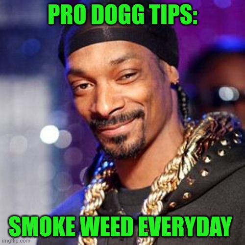 Snoop dogg | PRO DOGG TIPS: SMOKE WEED EVERYDAY | image tagged in snoop dogg | made w/ Imgflip meme maker