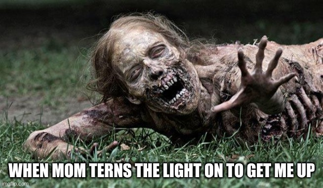 make it stop | WHEN MOM TERNS THE LIGHT ON TO GET ME UP | image tagged in walking dead zombie | made w/ Imgflip meme maker