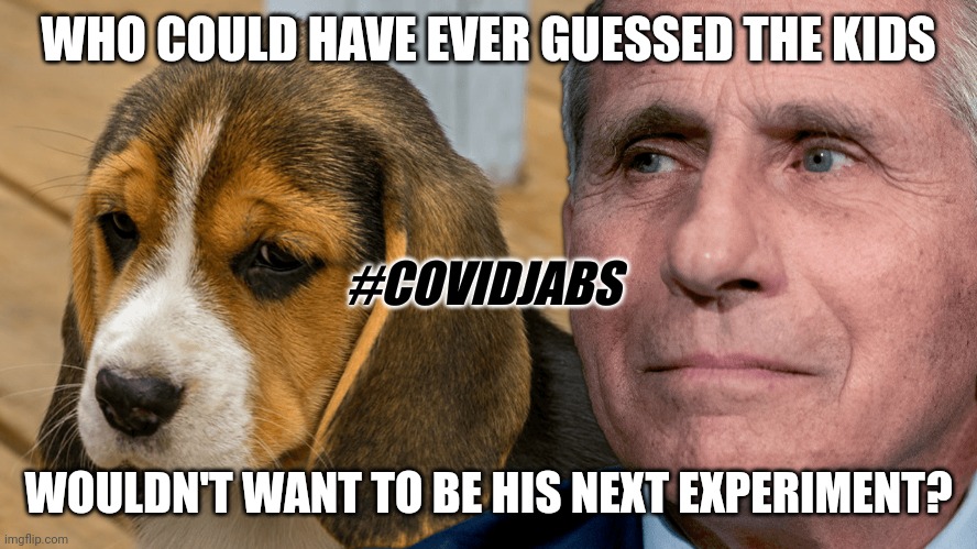 Dr. Anthony Fauci: Just A Little Prick. #SaveTheChildren from #COVIDmandates |  WHO COULD HAVE EVER GUESSED THE KIDS; #COVIDJABS; WOULDN'T WANT TO BE HIS NEXT EXPERIMENT? | image tagged in fauci's ouchie,dr fauci,covid vaccine,jabba the hutt,child abuse,i am the greatest villain of all time | made w/ Imgflip meme maker