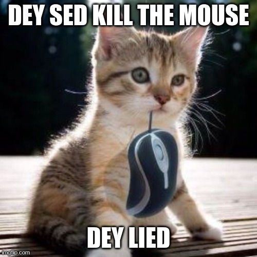 Cat with computer mouse | DEY SED KILL THE MOUSE; DEY LIED | image tagged in cat with computer mouse | made w/ Imgflip meme maker