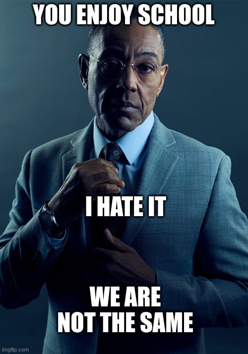 Gus Fring we are not the same | YOU ENJOY SCHOOL; I HATE IT; WE ARE NOT THE SAME | image tagged in gus fring we are not the same | made w/ Imgflip meme maker