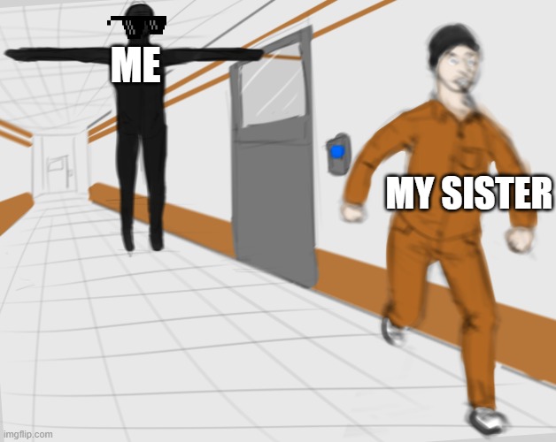 ME and my SISTER | ME; MY SISTER | image tagged in scp tpose | made w/ Imgflip meme maker
