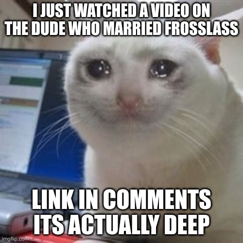 Seriously, I was in tears by the end of it | I JUST WATCHED A VIDEO ON THE DUDE WHO MARRIED FROSSLASS; LINK IN COMMENTS ITS ACTUALLY DEEP | image tagged in sad cat tears,shocking,why are you reading this,sad,why tho | made w/ Imgflip meme maker