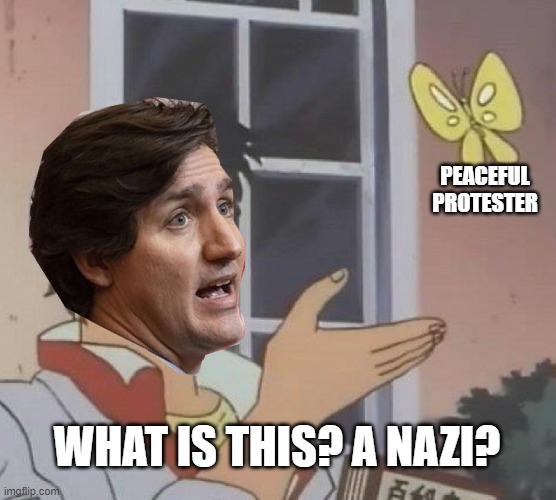 Trudeau projecting as per usual | PEACEFUL PROTESTER; WHAT IS THIS? A NAZI? | image tagged in memes,is this a pigeon,truckers,protestors,nazi,trudeau | made w/ Imgflip meme maker