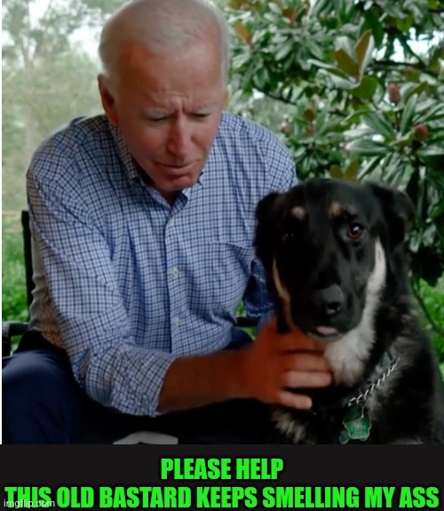 PLEASE HELP
THIS OLD BASTARD KEEPS SMELLING MY ASS | made w/ Imgflip meme maker