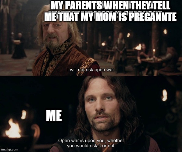 LOTR | MY PARENTS WHEN THEY TELL ME THAT MY MOM IS PREGANNTE | image tagged in lord of the rings,funny memes | made w/ Imgflip meme maker