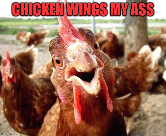 Chicken | CHICKEN WINGS MY ASS | image tagged in chicken | made w/ Imgflip meme maker