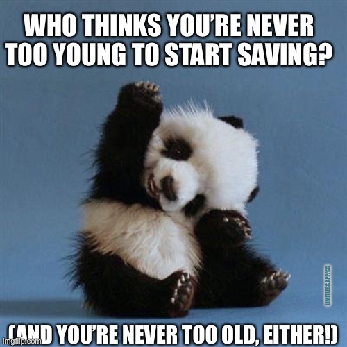 Panda compound | WHO THINKS YOU’RE NEVER TOO YOUNG TO START SAVING? LIMITLESS.APP/SG; (AND YOU’RE NEVER TOO OLD, EITHER!) | image tagged in baby panda wave,personal finance,limitless,financial literacy,compound interest | made w/ Imgflip meme maker