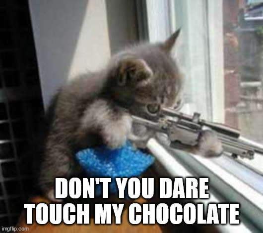 CatSniper | DON'T YOU DARE TOUCH MY CHOCOLATE | image tagged in catsniper | made w/ Imgflip meme maker