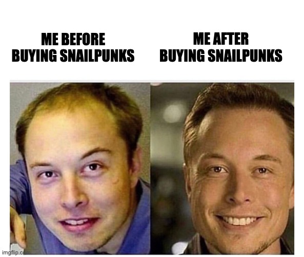 nbjkkhnn | ME AFTER BUYING SNAILPUNKS; ME BEFORE BUYING SNAILPUNKS | image tagged in too damn high | made w/ Imgflip meme maker