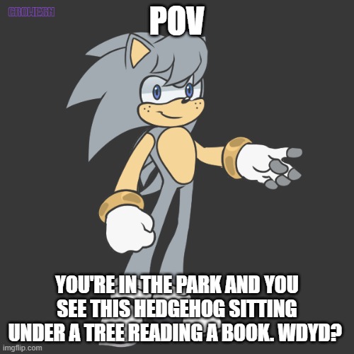 Tell me what rp you would like, Action or romance. Can be both. No military or joke ocs | POV; YOU'RE IN THE PARK AND YOU SEE THIS HEDGEHOG SITTING UNDER A TREE READING A BOOK. WDYD? | image tagged in roleplay,sonic universe x human universe,power play is allowed | made w/ Imgflip meme maker