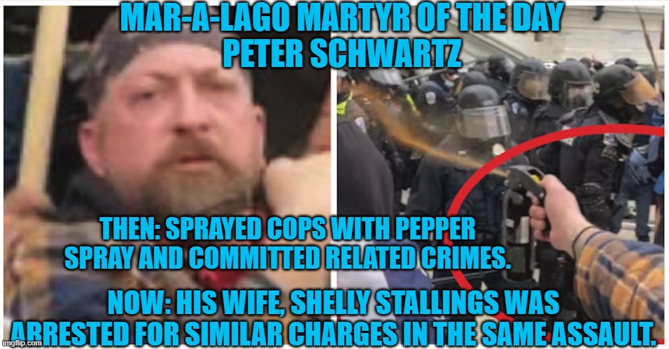 The Family that Sprays Together Stays Together? | MAR-A-LAGO MARTYR OF THE DAY
PETER SCHWARTZ; THEN: SPRAYED COPS WITH PEPPER SPRAY AND COMMITTED RELATED CRIMES. NOW: HIS WIFE, SHELLY STALLINGS WAS ARRESTED FOR SIMILAR CHARGES IN THE SAME ASSAULT. | image tagged in politics | made w/ Imgflip meme maker