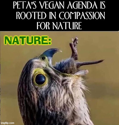 Life is Cruel; Political Correctness is a Perversion | PETA'S VEGAN AGENDA IS
 ROOTED IN COMPASSION
FOR NATURE; NATURE: | image tagged in vince vance,mother nature,peta,vegans,veganism,memes | made w/ Imgflip meme maker