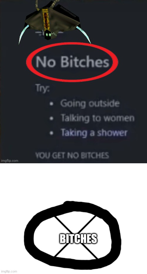 BITCHES | image tagged in no biches,blank white template | made w/ Imgflip meme maker