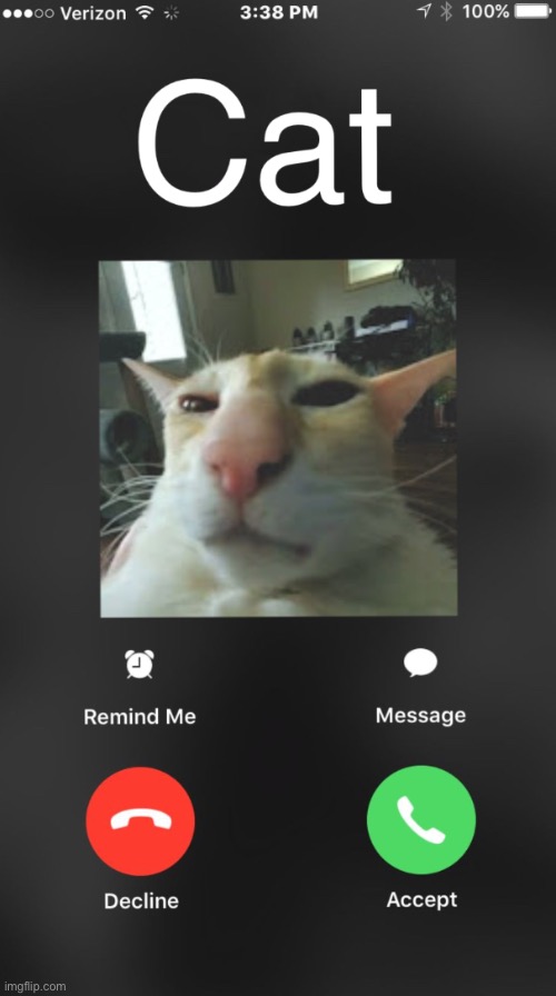 Cat | image tagged in funny,cat,call,phone,meme | made w/ Imgflip meme maker