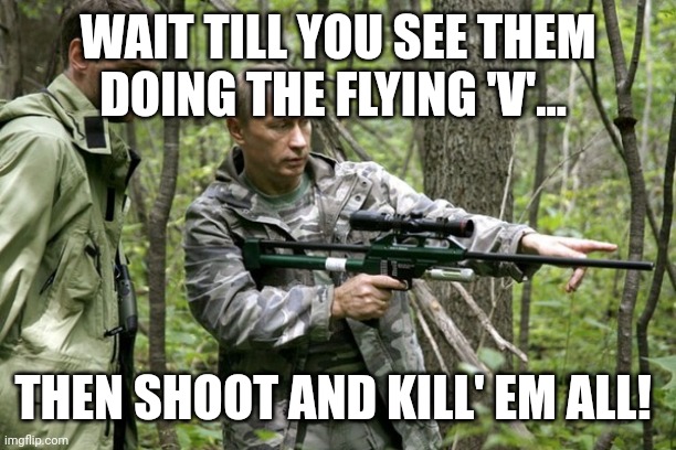 Putin the sniper | WAIT TILL YOU SEE THEM DOING THE FLYING 'V'... THEN SHOOT AND KILL' EM ALL! | image tagged in putin the sniper | made w/ Imgflip meme maker