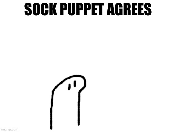 Blank White Template | SOCK PUPPET AGREES | image tagged in blank white template | made w/ Imgflip meme maker