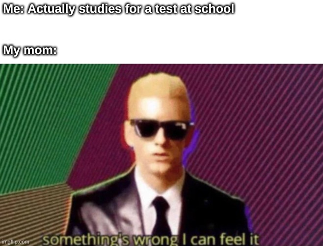 "He's awfully quite..." | Me: Actually studies for a test at school                         


                                                                                         
                                                                                           
My mom: | image tagged in somethings wrong,eminem,school,memes | made w/ Imgflip meme maker