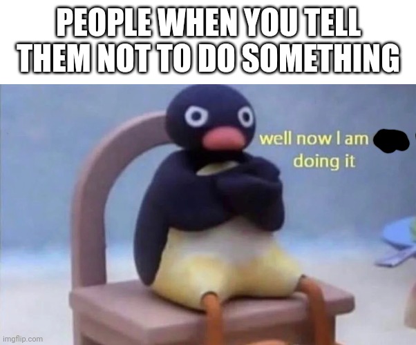 Don't look down :D | PEOPLE WHEN YOU TELL THEM NOT TO DO SOMETHING | image tagged in pingu well now i am not doing it,reality is often dissapointing,but why tho | made w/ Imgflip meme maker
