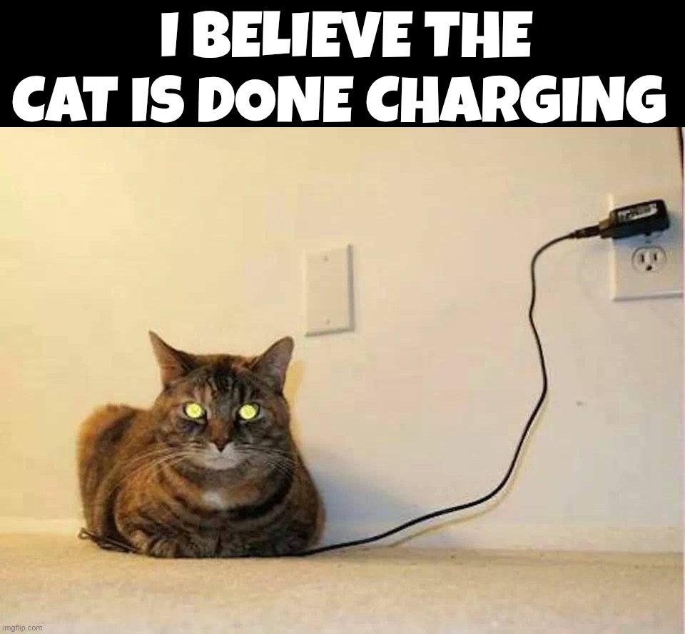 Charging the cat. | I BELIEVE THE CAT IS DONE CHARGING | image tagged in memes,charging,cat | made w/ Imgflip meme maker
