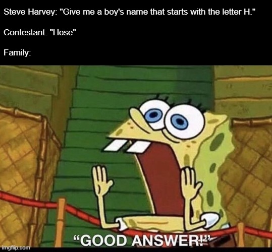 Spelling Not the Best Subject |  Steve Harvey: "Give me a boy's name that starts with the letter H."
 
Contestant: "Hose"
 
Family: | image tagged in good answer,meme,memes,humor,family feud | made w/ Imgflip meme maker