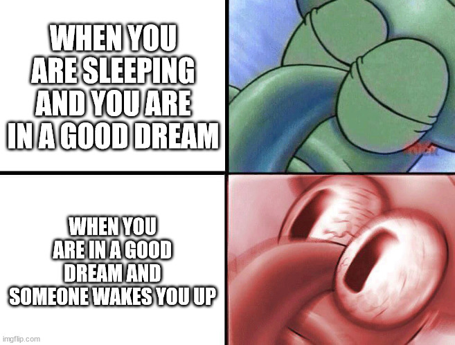 sleeping Squidward | WHEN YOU ARE SLEEPING AND YOU ARE IN A GOOD DREAM; WHEN YOU ARE IN A GOOD DREAM AND SOMEONE WAKES YOU UP | image tagged in sleeping squidward | made w/ Imgflip meme maker