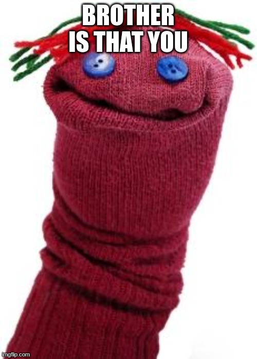 sock puppet | BROTHER IS THAT YOU | image tagged in sock puppet | made w/ Imgflip meme maker