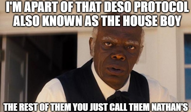 the way of life | I'M APART OF THAT DESO PROTOCOL
 ALSO KNOWN AS THE HOUSE BOY; THE REST OF THEM YOU JUST CALL THEM NATHAN'S | image tagged in sam in django unchained,django unchained | made w/ Imgflip meme maker