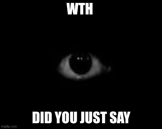 Scary Eye in dark | WTH DID YOU JUST SAY | image tagged in scary eye in dark | made w/ Imgflip meme maker