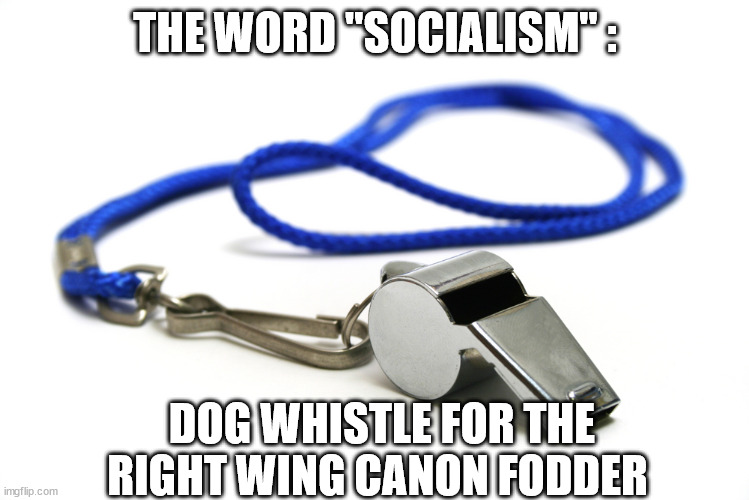 Whistle | THE WORD "SOCIALISM" :; DOG WHISTLE FOR THE RIGHT WING CANON FODDER | image tagged in whistle | made w/ Imgflip meme maker