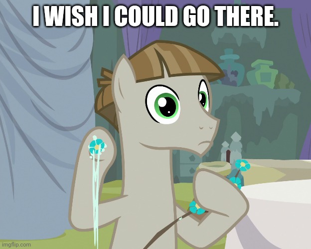 I WISH I COULD GO THERE. | made w/ Imgflip meme maker