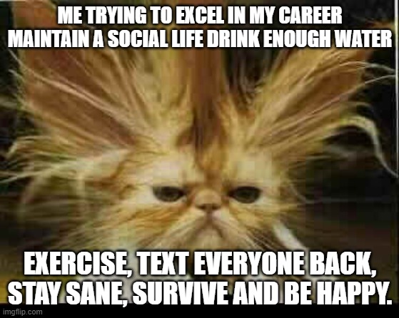 cat stressed | ME TRYING TO EXCEL IN MY CAREER MAINTAIN A SOCIAL LIFE DRINK ENOUGH WATER; EXERCISE, TEXT EVERYONE BACK, STAY SANE, SURVIVE AND BE HAPPY. | image tagged in cat stressed | made w/ Imgflip meme maker