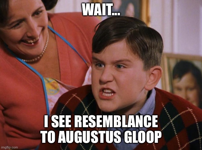 Harry Potter Dudley's Birthday | WAIT... I SEE RESEMBLANCE TO AUGUSTUS GLOOP | image tagged in harry potter dudley's birthday | made w/ Imgflip meme maker