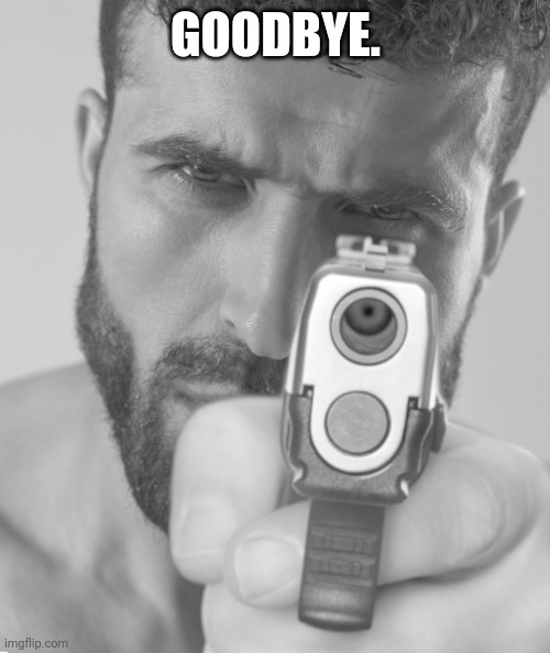 Gigachad holding you at gun point | GOODBYE. | image tagged in gigachad holding you at gun point | made w/ Imgflip meme maker