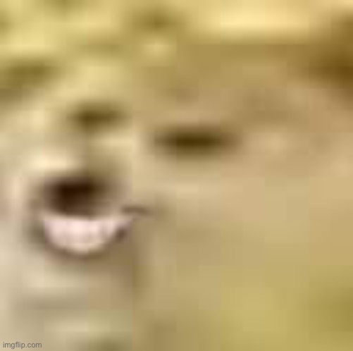 Smiling doge | image tagged in smiling doge | made w/ Imgflip meme maker