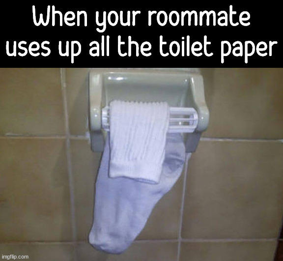 No more Toilet paper | When your roommate uses up all the toilet paper | image tagged in roommates,no more toilet paper | made w/ Imgflip meme maker