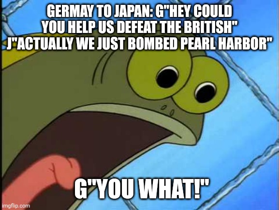 You did what to my drink spongebob | GERMAY TO JAPAN: G"HEY COULD YOU HELP US DEFEAT THE BRITISH" J"ACTUALLY WE JUST BOMBED PEARL HARBOR"; G"YOU WHAT!" | image tagged in you did what to my drink spongebob | made w/ Imgflip meme maker