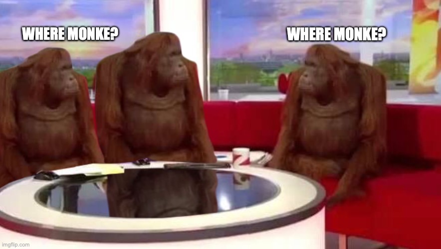 where monkey | WHERE MONKE? WHERE MONKE? | image tagged in where monkey | made w/ Imgflip meme maker