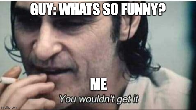 You wouldn't get it | GUY: WHATS SO FUNNY? ME | image tagged in you wouldn't get it | made w/ Imgflip meme maker