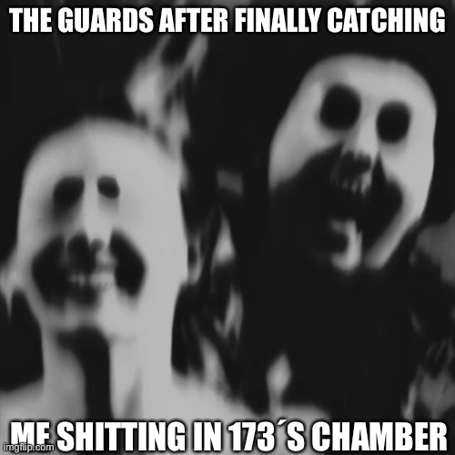 Ok | THE GUARDS AFTER FINALLY CATCHING; ME SHITTING IN 173´S CHAMBER | image tagged in shit happens,memes,funny | made w/ Imgflip meme maker