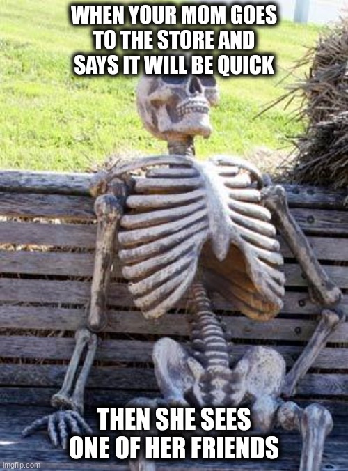 This is true and you know it | WHEN YOUR MOM GOES TO THE STORE AND SAYS IT WILL BE QUICK; THEN SHE SEES ONE OF HER FRIENDS | image tagged in memes,waiting skeleton | made w/ Imgflip meme maker
