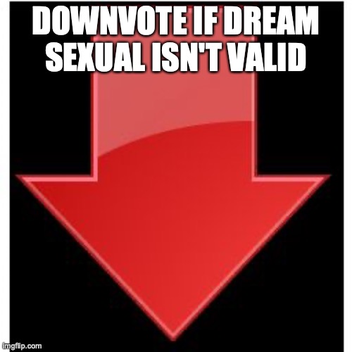 downvote begging time | DOWNVOTE IF DREAM SEXUAL ISN'T VALID | image tagged in downvotes | made w/ Imgflip meme maker