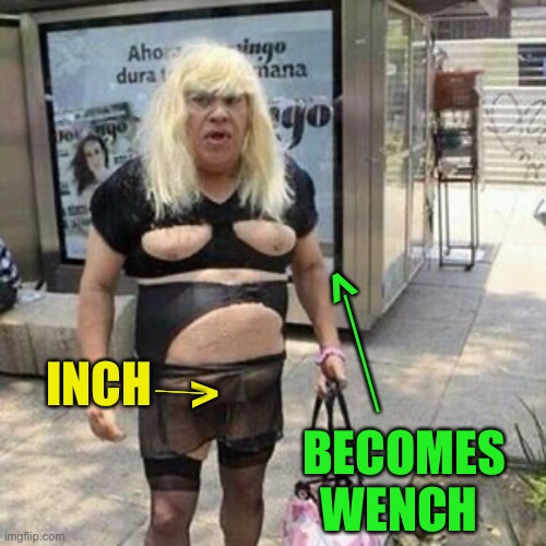 Ugly guy | INCH BECOMES WENCH > ____ > ____ | image tagged in tranny | made w/ Imgflip meme maker