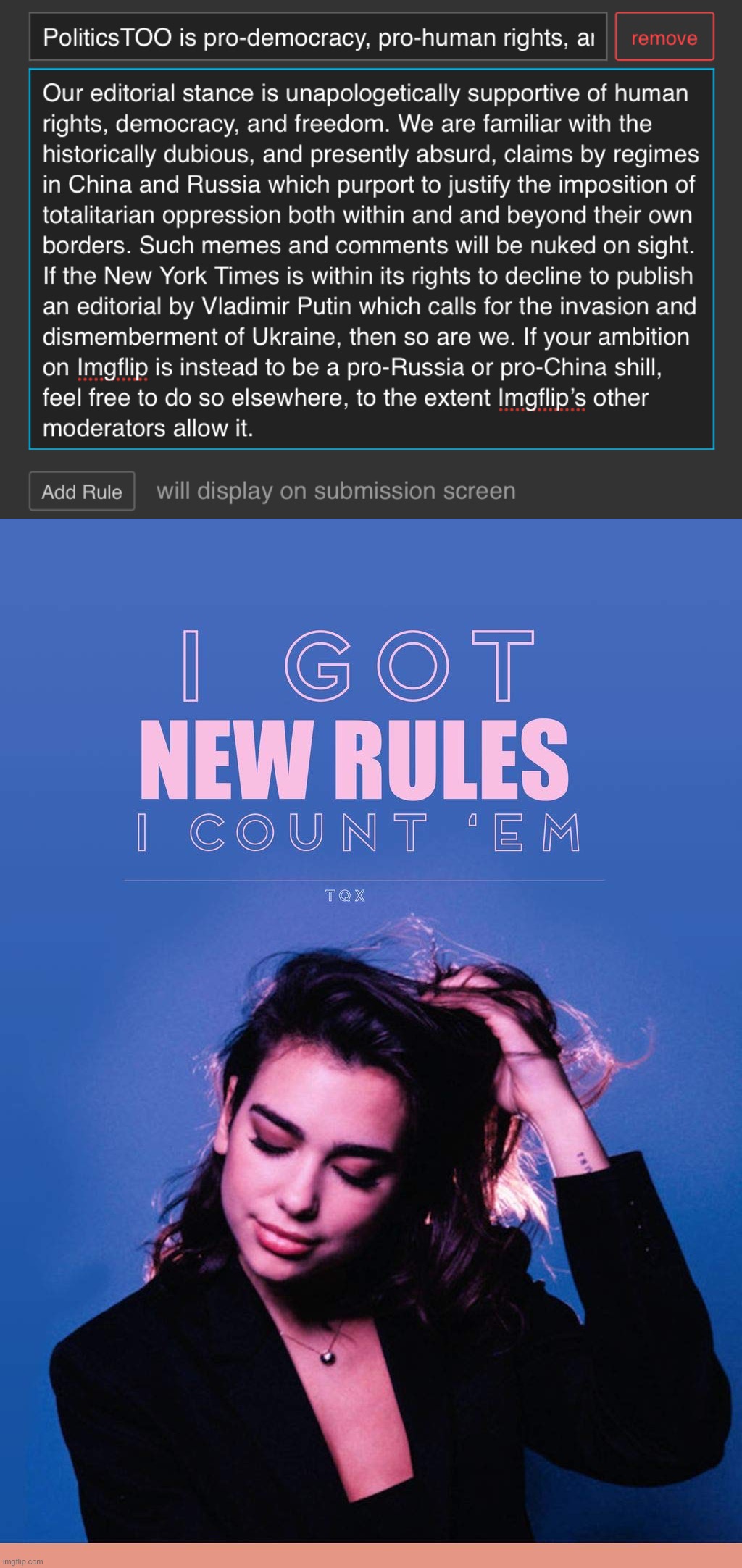 Europe is on the brink of war, and we got new rules. | image tagged in politicstoo pro-democracy,dua lipa i got new rules,vladimir putin,totalitarianism,human rights,propaganda | made w/ Imgflip meme maker