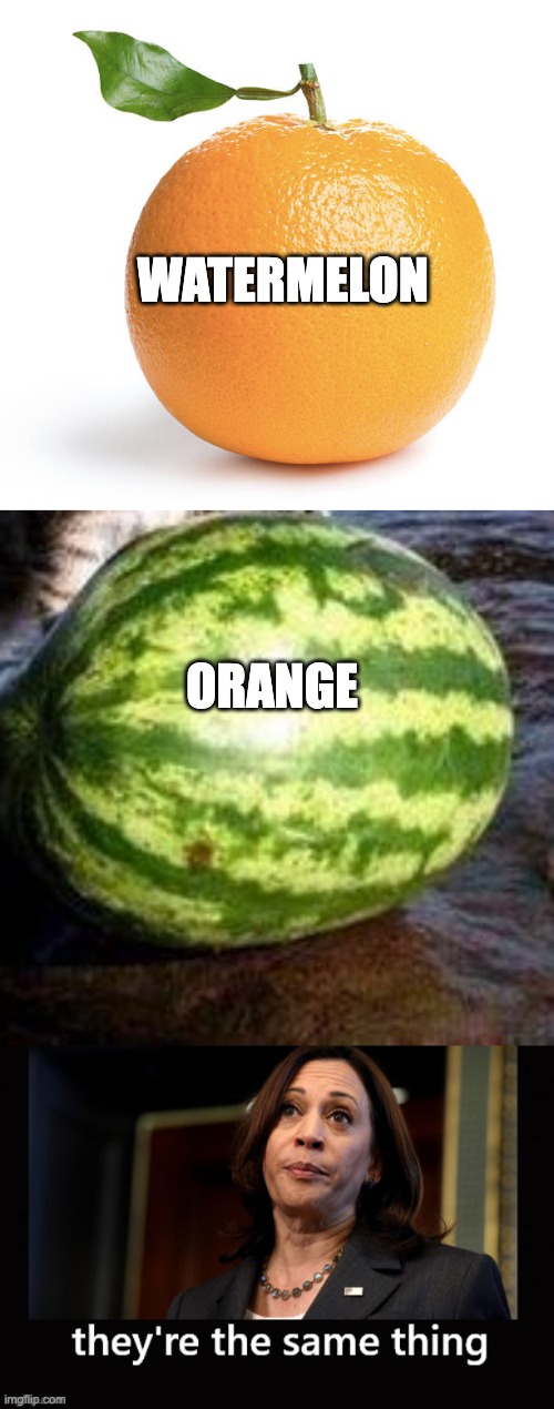 WATERMELON ORANGE | image tagged in orange,argument invalid watermelon cat,they're the same kamala harris | made w/ Imgflip meme maker