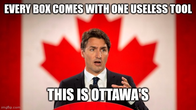 Justin Trudeau | EVERY BOX COMES WITH ONE USELESS TOOL; THIS IS OTTAWA'S | image tagged in justin trudeau | made w/ Imgflip meme maker