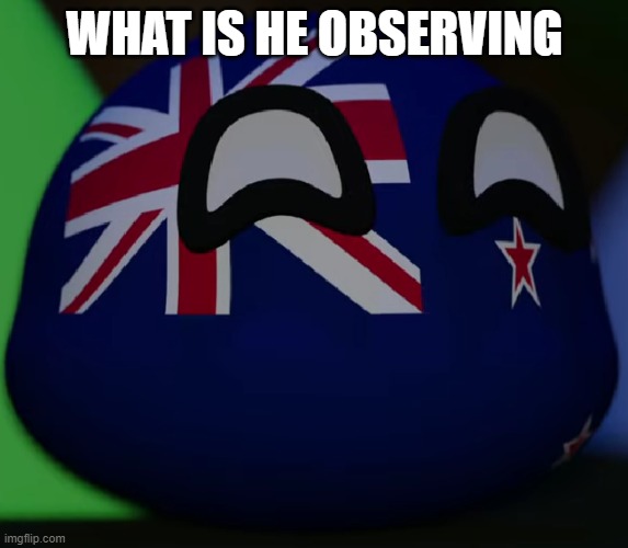 New Zealand | WHAT IS HE OBSERVING | image tagged in new zealand | made w/ Imgflip meme maker