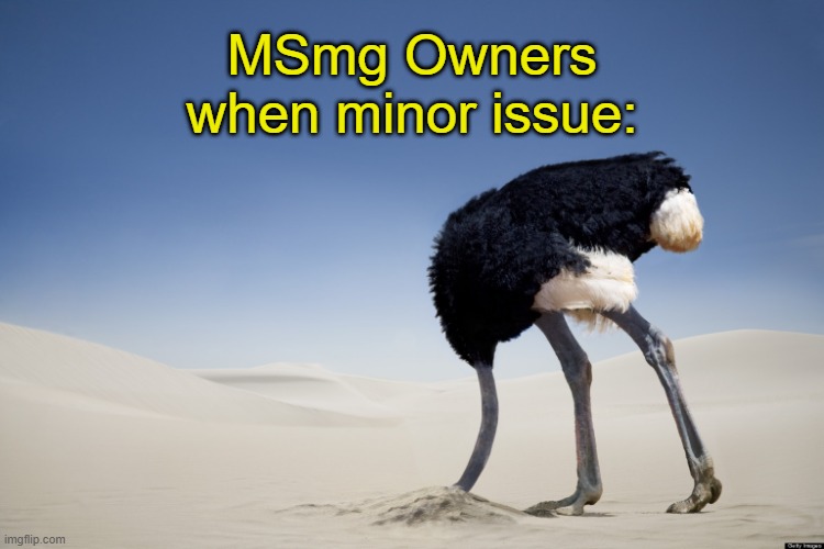 . | MSmg Owners when minor issue: | image tagged in ostrich head in sand | made w/ Imgflip meme maker