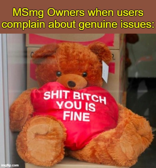 . | MSmg Owners when users complain about genuine issues: | image tagged in shit bitch you is fine | made w/ Imgflip meme maker