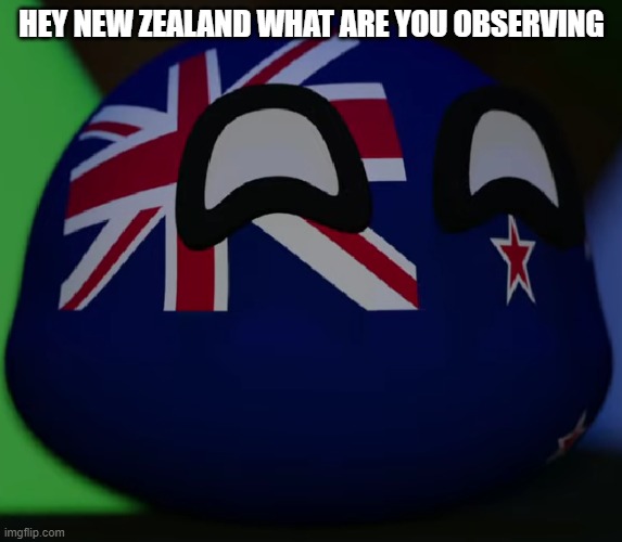 New Zealand | HEY NEW ZEALAND WHAT ARE YOU OBSERVING | image tagged in new zealand | made w/ Imgflip meme maker